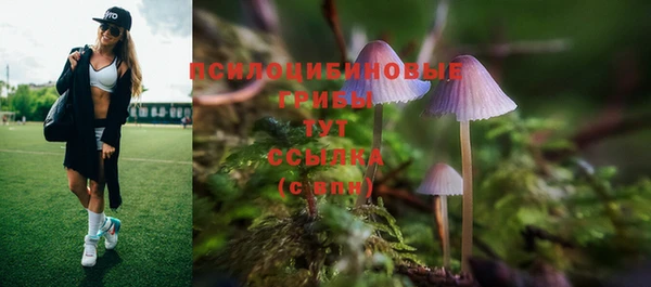 метадон Дмитровск