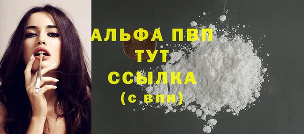 мдпв Дмитриев