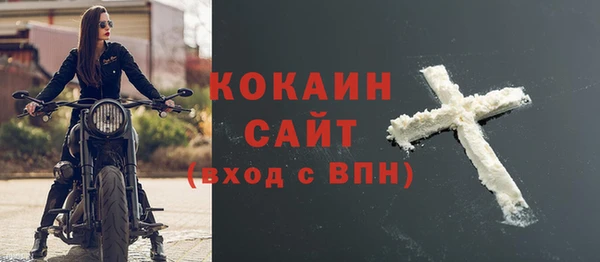 мдпв Дмитриев