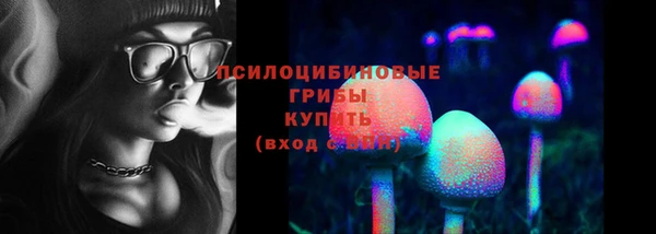 гидропоника Нягань