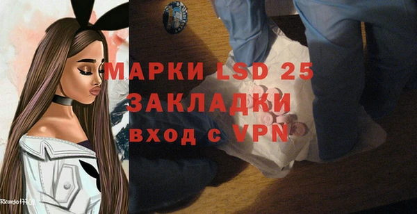 мдпв Дмитриев