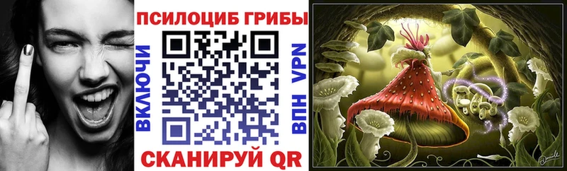Псилоцибиновые грибы ЛСД  хочу наркоту  Олёкминск 